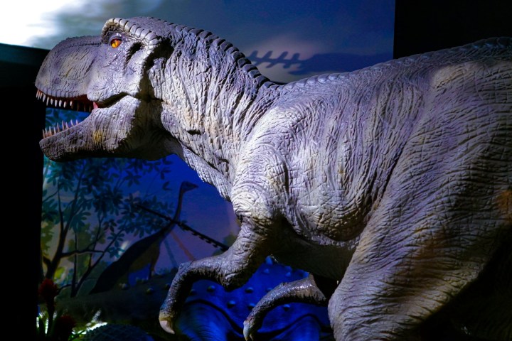 A photograph of an animatronic T. rex against a blue background.