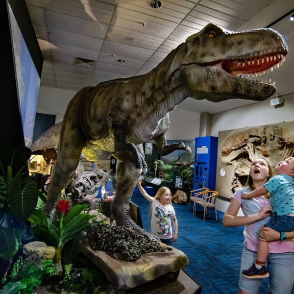 Group of children in a dinosaur museum