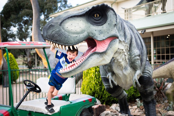 Kid playing in a garden with dinosaur