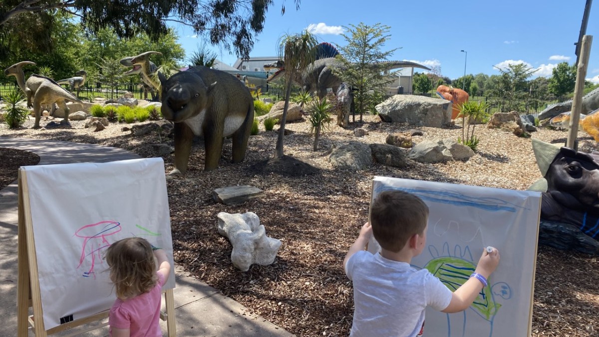 a little boy sitting at a zoo