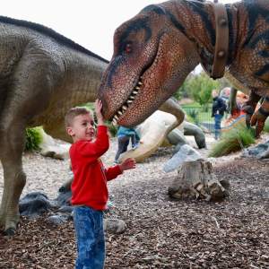 a person standing next to a baby elephant