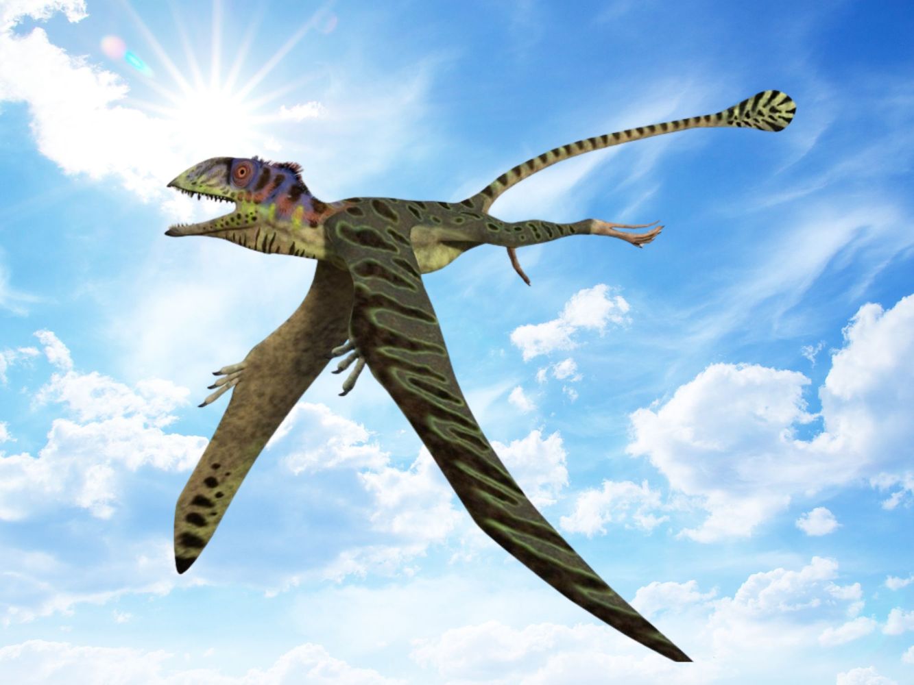 a bird flying in the sky