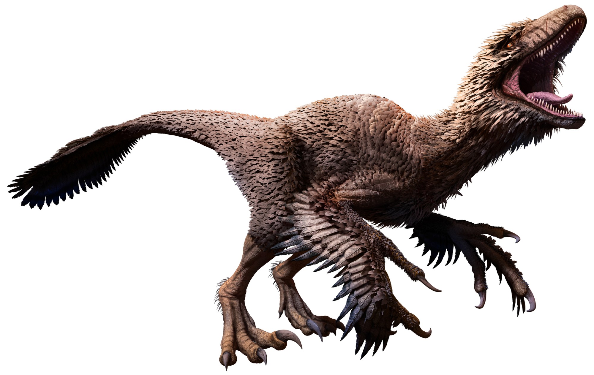 dakotaraptor a close up of a dinosaur
